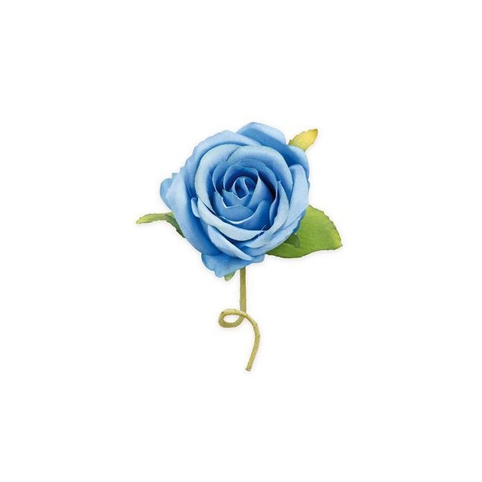 ROSELLINE CDUE FOGLIE AVION